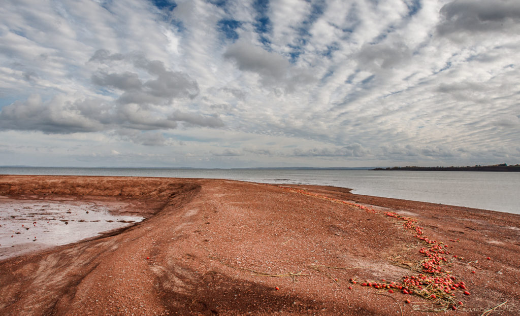 Strawberry Beaches Forever II Steven Kennard 2012