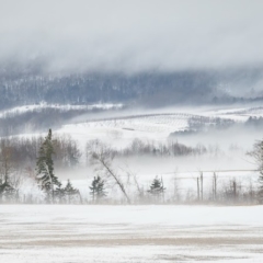 The foot of the mountain - Steven Kennard 2013
