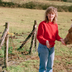 Ellie with Flicka, Friston and pigs. Morina in the background.
