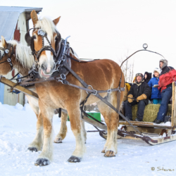 Sleigh Ride, Nova Scotia