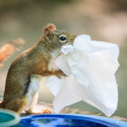 It’s Hay Fever Time Again!