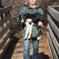 Ellie taking Joni for a walk – Steven Kennard 2014