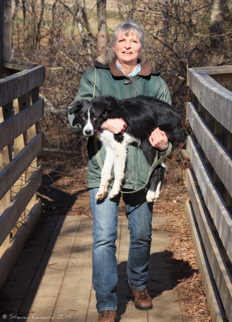 Ellie taking Joni for a walk - Steven Kennard 2014