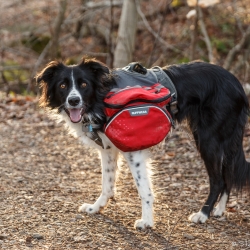 Joni ready to hit the trail – Steven Kennard 2015