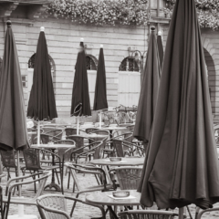 The Cloaked Terrace - Steven Kennard 2012