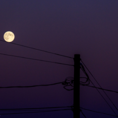 The slippery Slope - Steven Kennard 2013