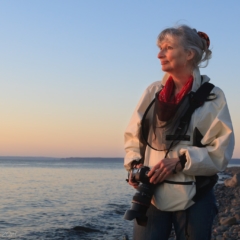 – Steven Kennard 2014