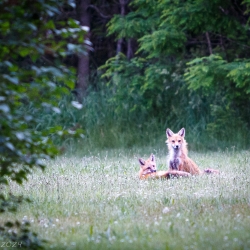 - Steven Kennard 2024