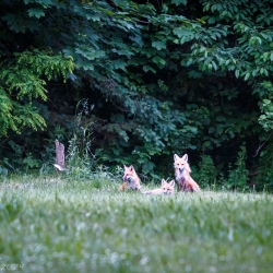 - Steven Kennard 2024