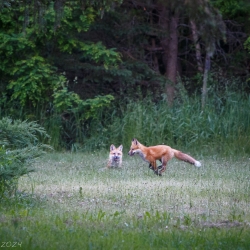 - Steven Kennard 2024